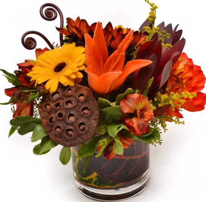 Bonfire Nights from Verzaals Florist and Events in Wilmington, NC
