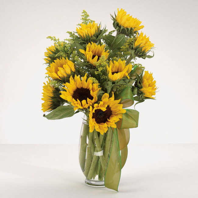 Sunflower Fields from Verzaals Florist and Events in Wilmington, NC