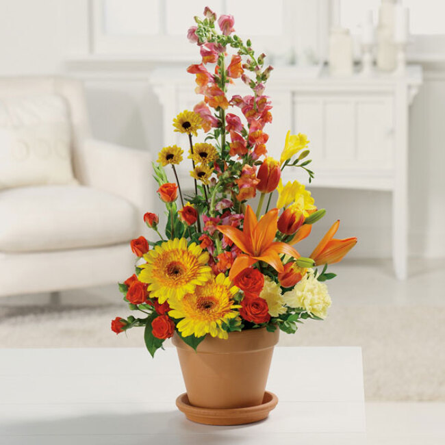 Terra Cotta Treasures from Verzaals Florist and Events in Wilmington, NC
