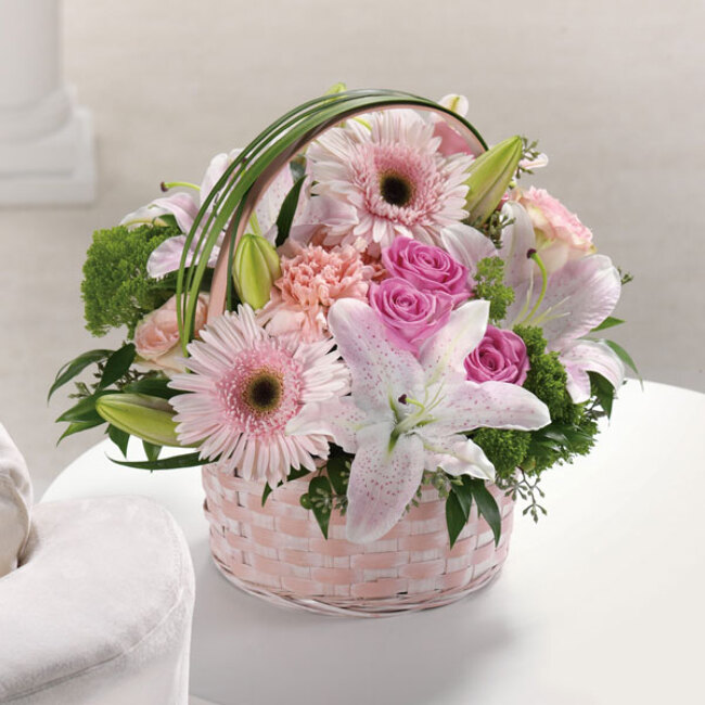 Lullaby from Verzaals Florist and Events in Wilmington, NC