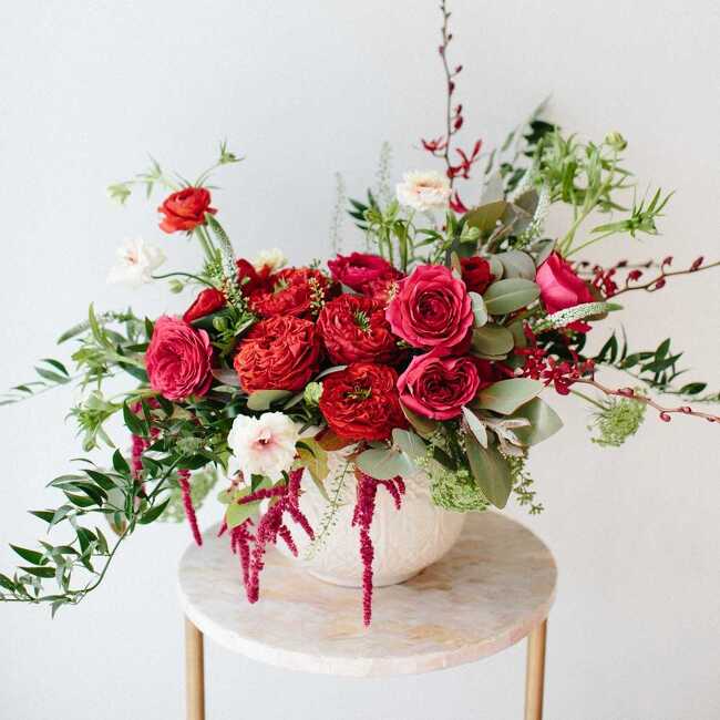 Amadeus from Verzaals Florist and Events in Wilmington, NC