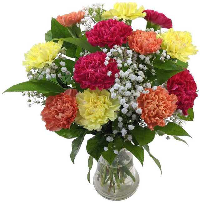 Mixed Carnations from Verzaals Florist and Events in Wilmington, NC