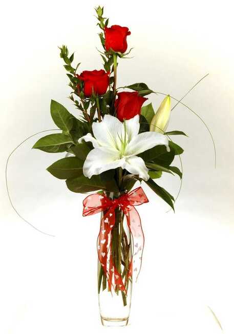Grow Your Love from Verzaals Florist and Events in Wilmington, NC