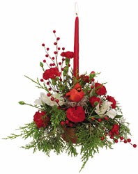 Robins  Nest from Verzaal's Florist & Events in Wilmington