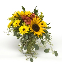 Country Picked from Verzaal's Florist & Events in Wilmington