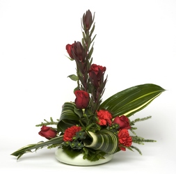 Holiday Excitement  from Verzaal's Florist & Events in Wilmington