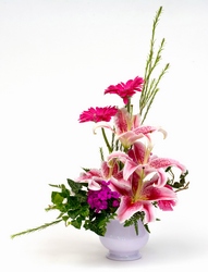 Bold and Beautiful from Verzaal's Florist & Events in Wilmington