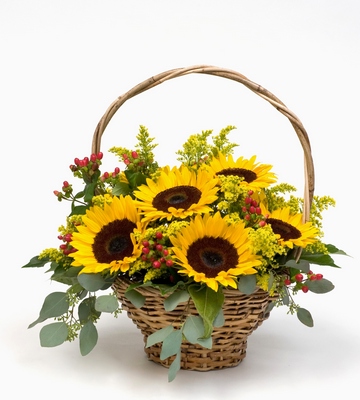 Field Of Sunshine from Verzaals Florist and Events in Wilmington, NC