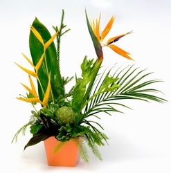 Tropical Paradise from Verzaal's Florist & Events in Wilmington