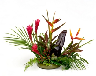Hawaiian Sunset from Verzaal's Florist & Events in Wilmington