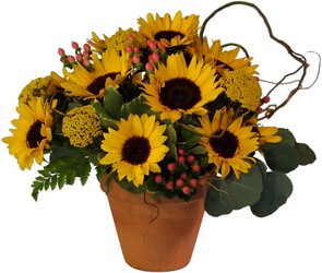 Endless Summer Sun from Verzaal's Florist & Events in Wilmington