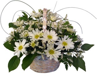 Daisy Dreaming from Verzaal's Florist & Events in Wilmington