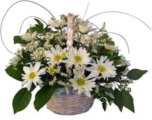 Daisy Dreaming from Verzaals Florist and Events in Wilmington, NC