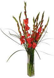 Aren't you GLAD i didnt say.... from Verzaal's Florist & Events in Wilmington