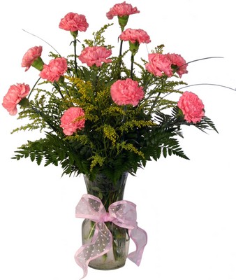 Long Lasting Carnation from Verzaals Florist and Events in Wilmington, NC