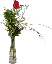 One Red Rose Budvase from Verzaal's Florist & Events in Wilmington