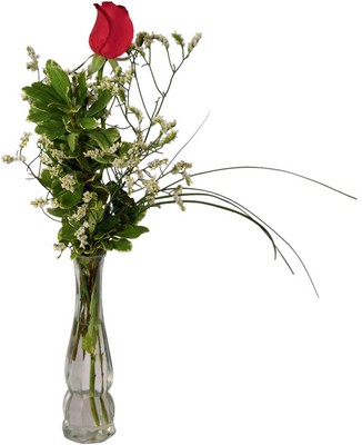 Single Rose from Verzaals Florist and Events in Wilmington, NC