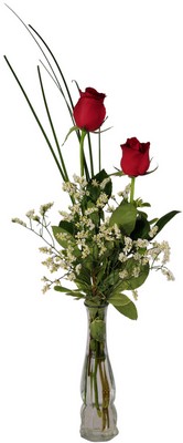 2 Rose from Verzaals Florist and Events in Wilmington, NC