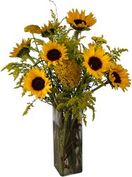 Sunny Days Bouquet from Verzaal's Florist & Events in Wilmington
