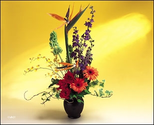 tropical bliss from Verzaal's Florist & Events in Wilmington