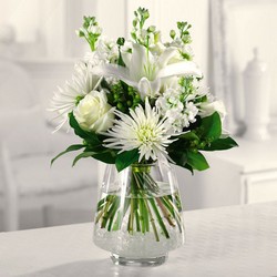 White As Snow from Verzaal's Florist & Events in Wilmington