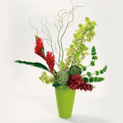 festive holiday from Verzaal's Florist & Events in Wilmington