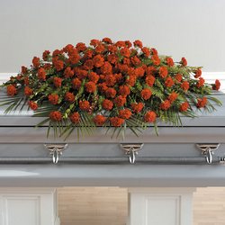 Love For Carnations from Verzaal's Florist & Events in Wilmington