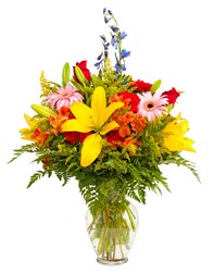 Premier Favorite from Verzaal's Florist & Events in Wilmington