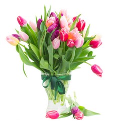 Tulip Bliss from Verzaal's Florist & Events in Wilmington