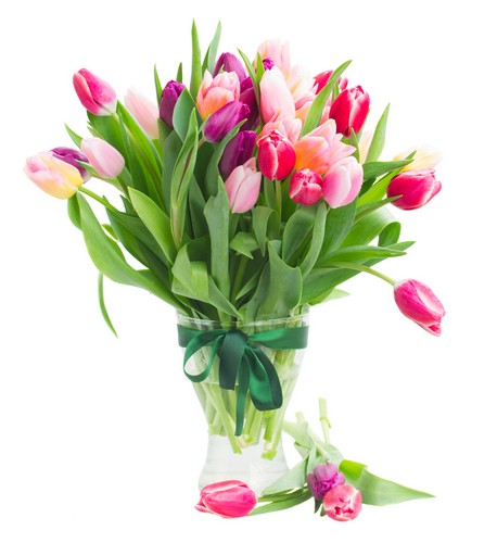 Spring Awakening
