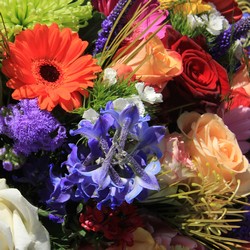 Send it loose from Verzaal's Florist & Events in Wilmington