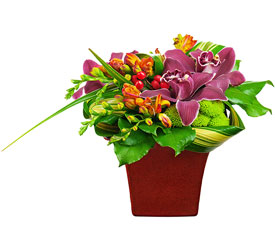 Feeling Zen from Verzaal's Florist & Events in Wilmington