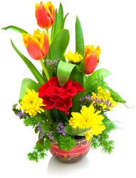 Tulip Delight from Verzaal's Florist & Events in Wilmington
