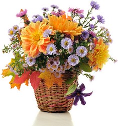 FunDaze from Verzaal's Florist & Events in Wilmington