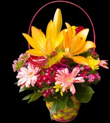 Perky Lily Basket from Verzaal's Florist & Events in Wilmington