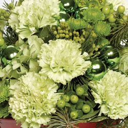 Designers Choice  from Verzaal's Florist & Events in Wilmington